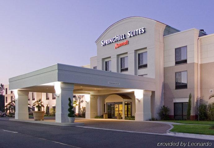 Springhill Suites By Marriott Corpus Christi  Kültér fotó
